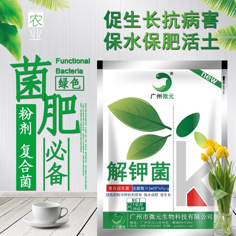 解鉀菌復合解鉀菌農(nóng)用復合芽孢桿菌微生物菌肥功能菌種