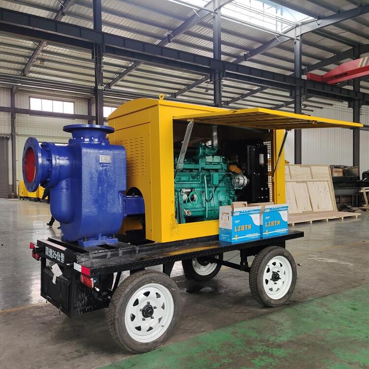 12寸灌溉用柴油機水泵HSDP12-MF