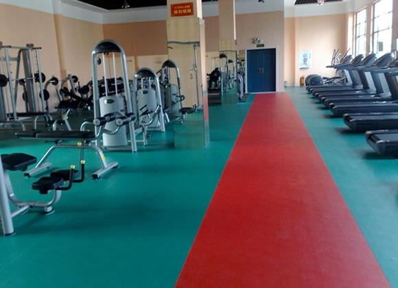 河北石家莊華歐HO69彈性運(yùn)動(dòng)地板超長(zhǎng)質(zhì)保