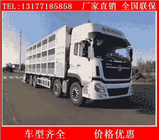 鶴崗廠家定制款拉豬車價格 國六豬苗運(yùn)輸車廠家在哪
