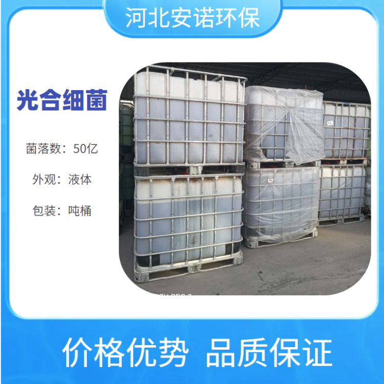 污水硝化菌種 光合細(xì)菌50億