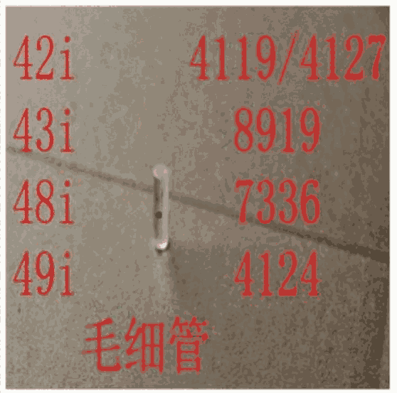 賽默飛49i光度計燈（臭氧燈）8540/100712-00