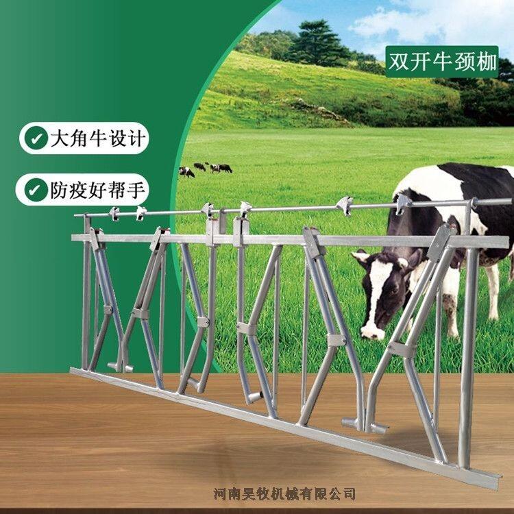 內蒙牛用設備牛頸枷固定牛打針架子 自鎖式加厚牛頸夾圖片