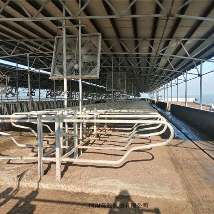 牛臥床  昊牧奶牛場專用設(shè)備牛臥床支持定制