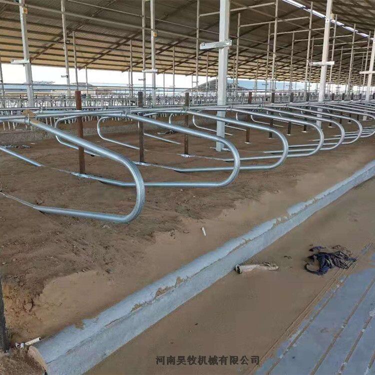 牛臥欄  昊牧奶牛場專用設(shè)備牛臥床支持定制