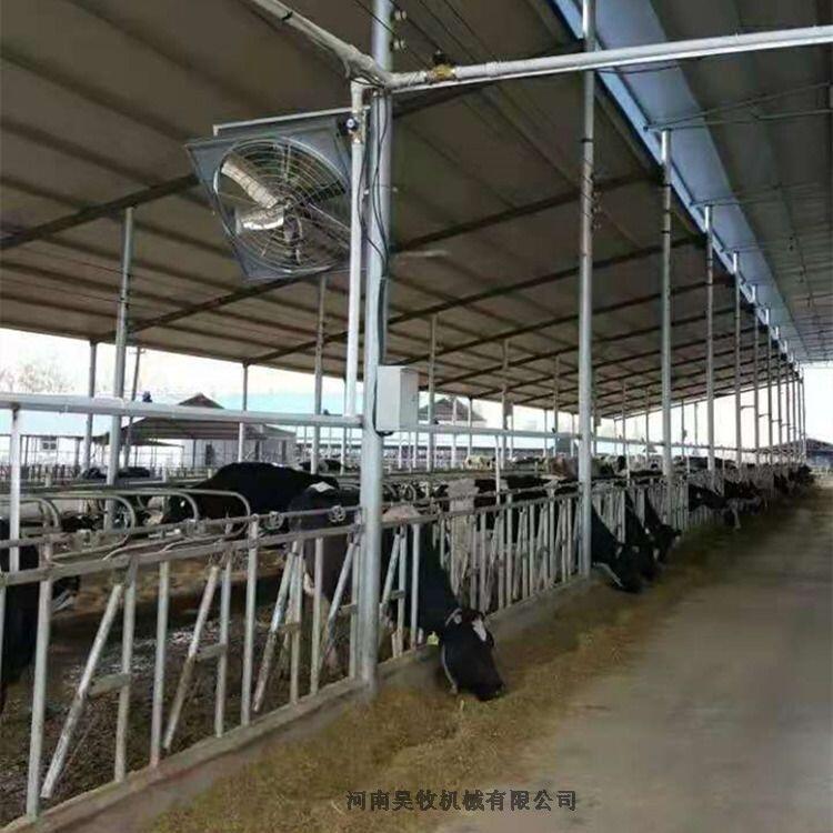 河南昊牧牛固定架熱鍍鋅加厚型號齊全