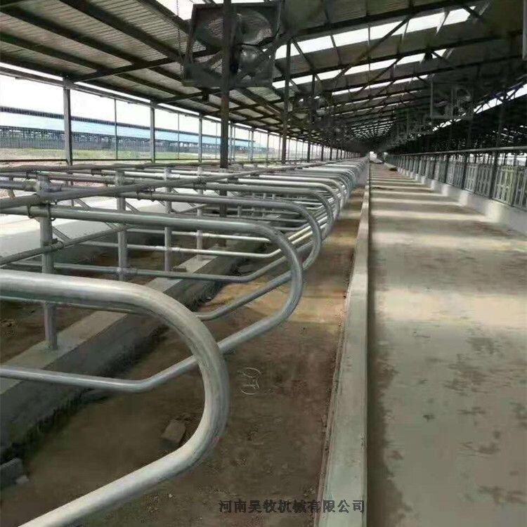 奶牛用牛臥床  牛休息設(shè)備牛臥欄規(guī)格