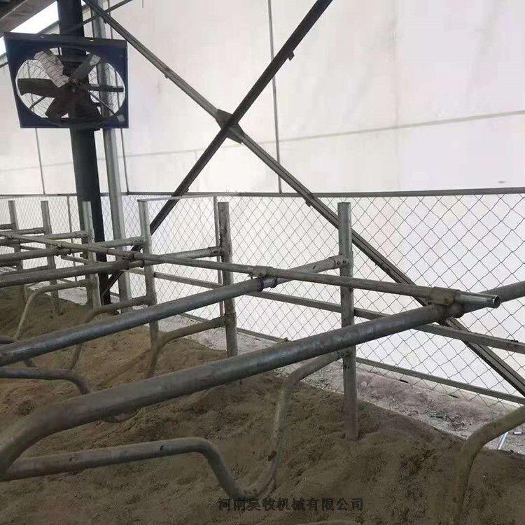 昊牧奶牛場單臥牛臥欄安裝視頻