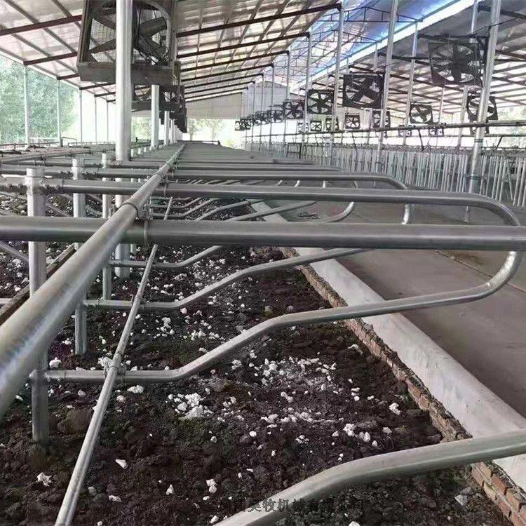 昊牧奶牛場雙臥牛臥床安裝尺寸