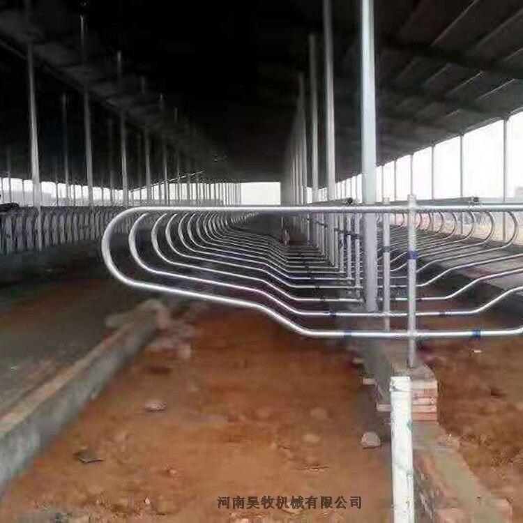 昊牧奶牛場單臥牛臥欄配件