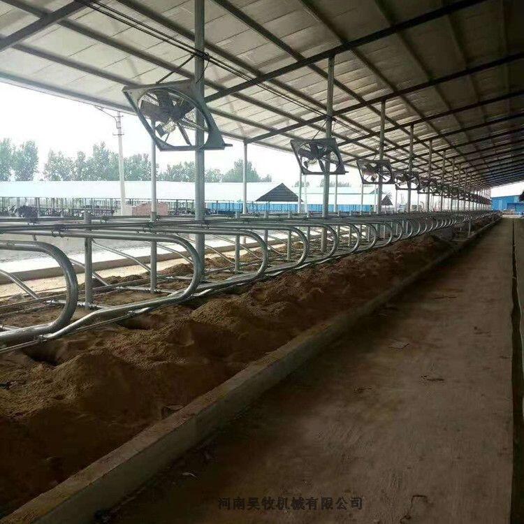昊牧奶牛場單臥牛臥床安裝視頻