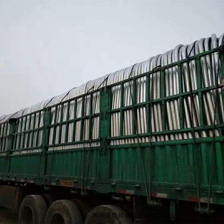 昊牧奶牛場雙臥牛臥欄圖片