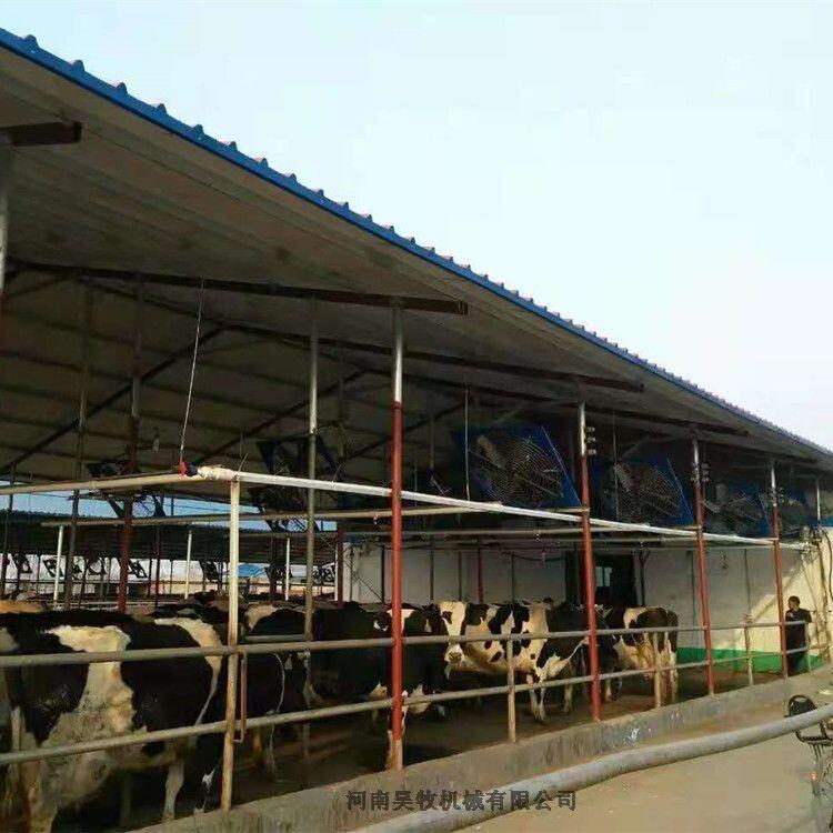 牛舍風(fēng)機(jī)  噪音低風(fēng)量大養(yǎng)殖風(fēng)扇安裝圖