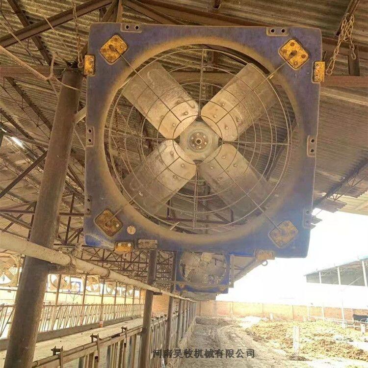畜牧風(fēng)機(jī) 噪音低風(fēng)量大牛舍風(fēng)機(jī)精選廠家