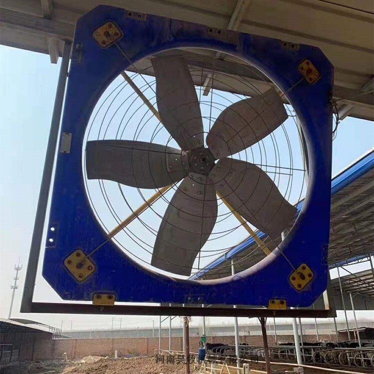 牛舍風(fēng)機(jī)  養(yǎng)殖風(fēng)扇安裝圖