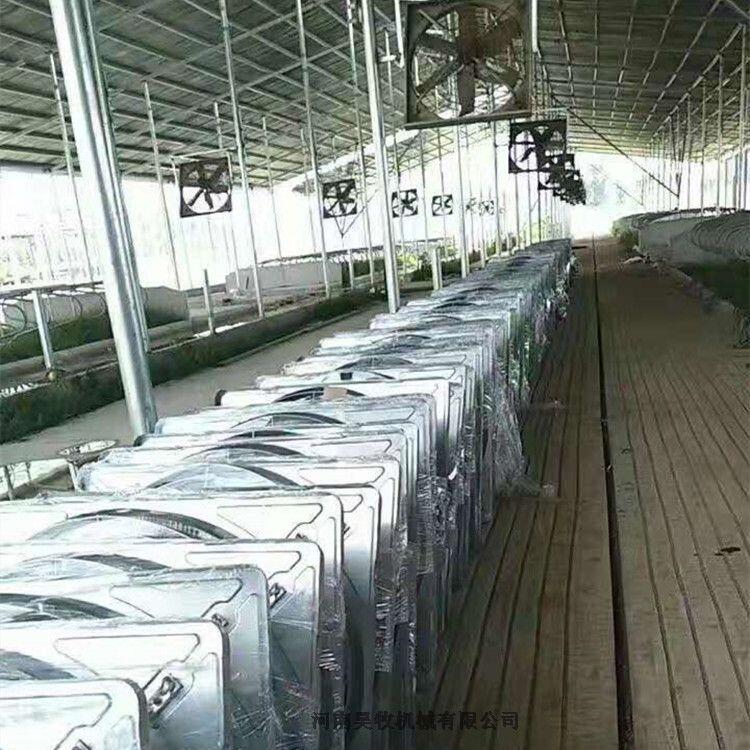牛舍風(fēng)機  牛舍風(fēng)機安裝圖