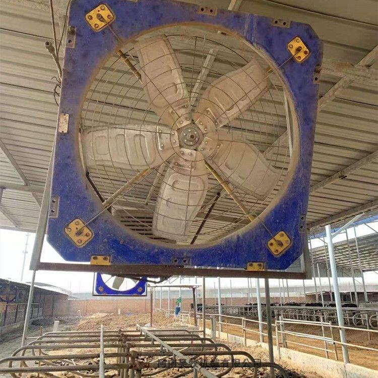 昊牧牛舍風(fēng)機(jī)降溫和噴淋降溫