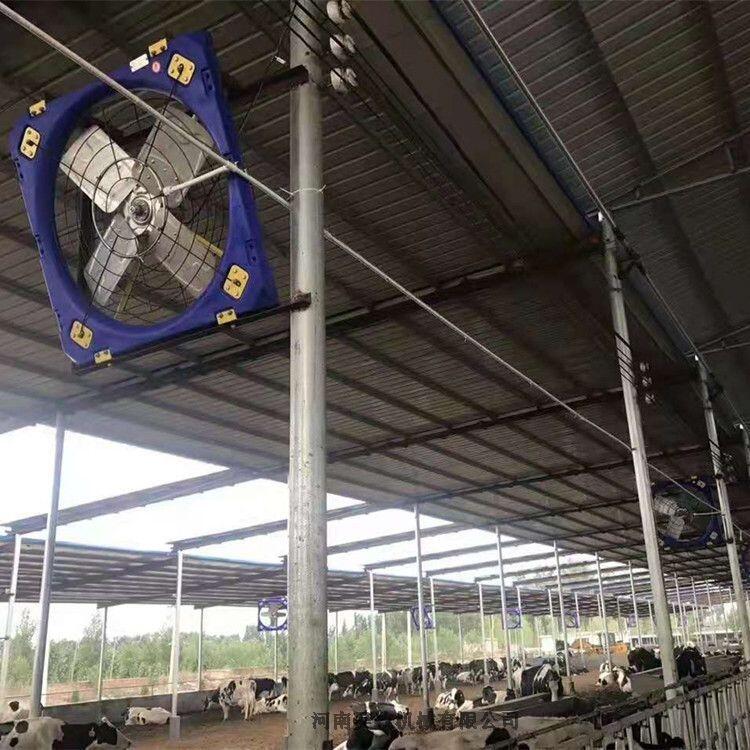 畜牧風(fēng)機(jī) 牛舍風(fēng)機(jī)精選廠家