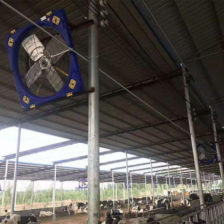 牧場通風(fēng)系統(tǒng) 牛舍風(fēng)機(jī)安裝圖