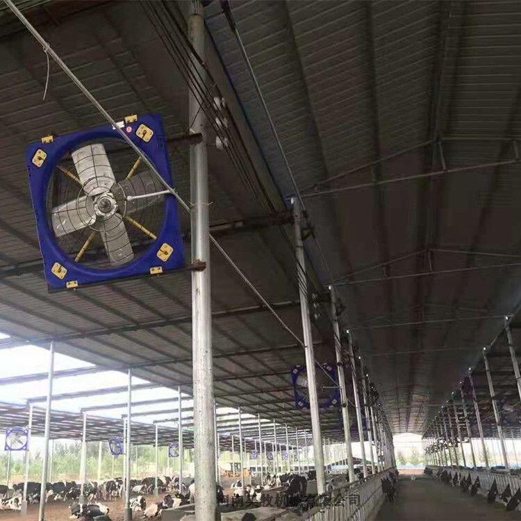 牧場(chǎng)通風(fēng)系統(tǒng) 牛舍噴淋精選廠家