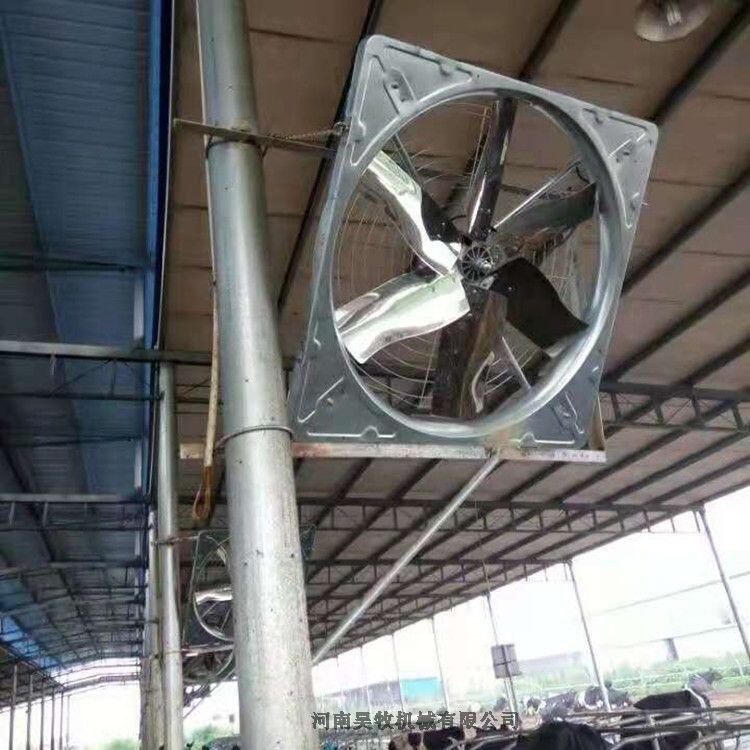 牛舍風(fēng)機(jī) 養(yǎng)殖場降溫通風(fēng)設(shè)備牛舍風(fēng)機(jī)安裝視頻