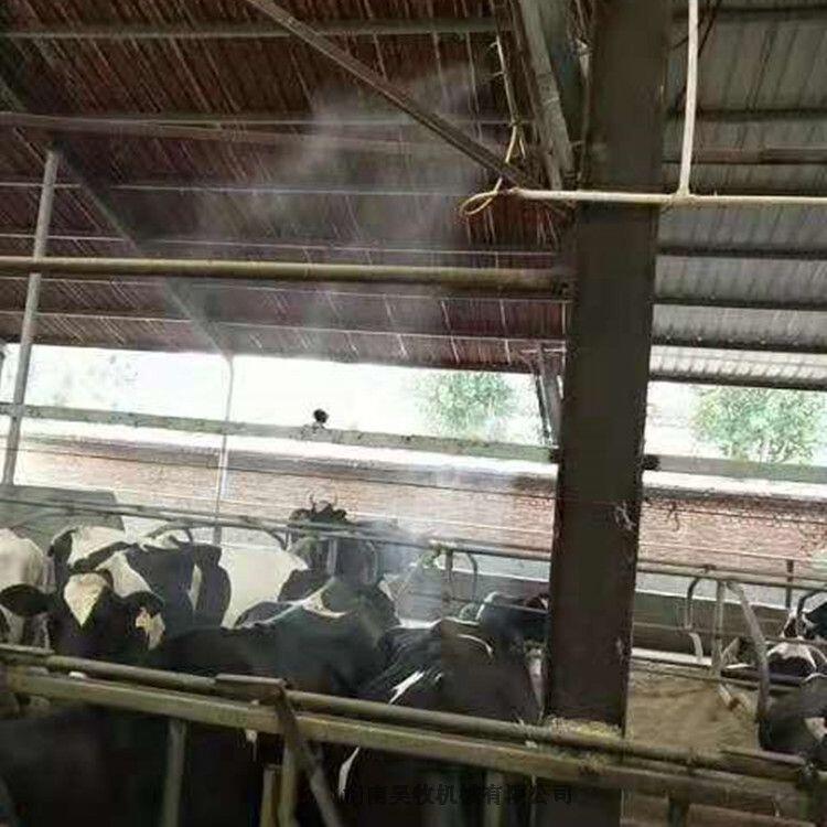 牛舍風(fēng)機  噪音低風(fēng)量大牛舍風(fēng)機精選廠家