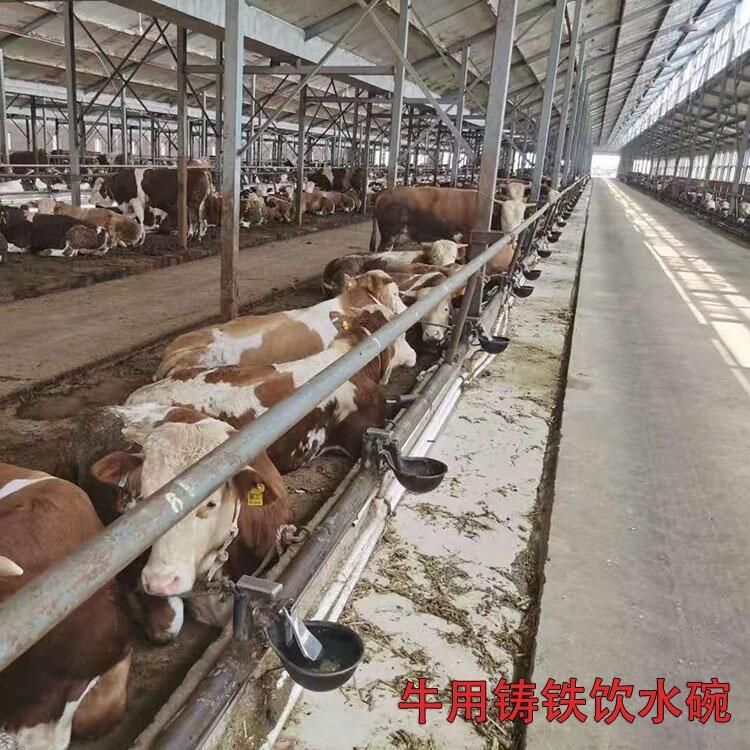 牛用飲水碗 昊牧銅閥飲水碗即開即用
