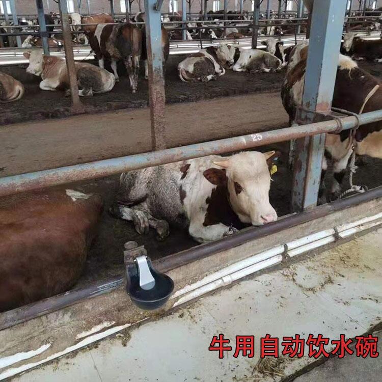 牛用飲水碗 昊牧銅閥飲水碗擠壓式上水