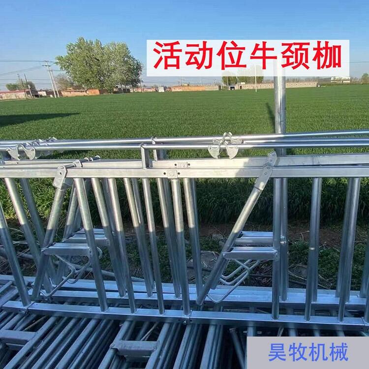 四川昊牧熱鍍鋅牛頸夾自鎖式牛頸枷