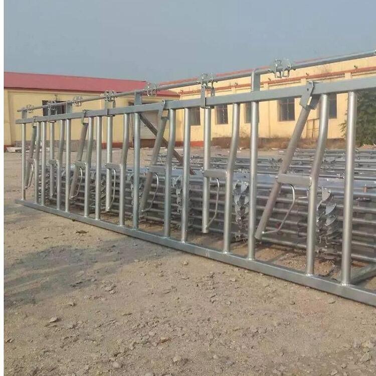 黑龍江昊牧奶牛用牛頸夾自鎖式牛頸枷