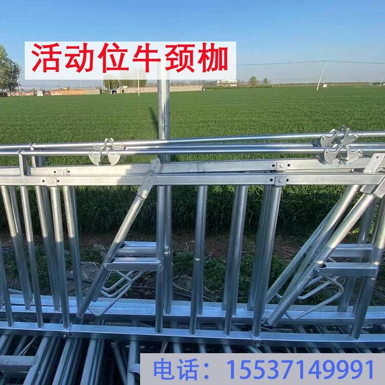 四川昊牧加厚牛頸夾結(jié)實(shí)耐腐蝕牛頸枷
