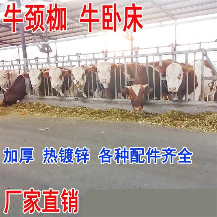 云南保山市昊牧奶牛用牛頸夾結(jié)實(shí)耐腐蝕牛頸枷