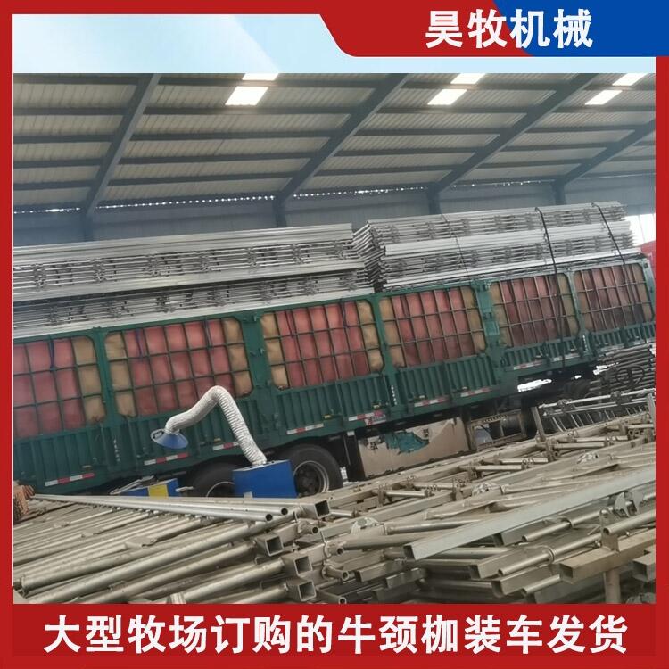 遼寧昊牧奶牛用牛頸枷結(jié)實耐腐蝕牛頸枷