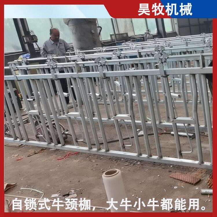 山西昊牧熱鍍鋅牛頸夾結(jié)實(shí)耐腐蝕牛頸枷