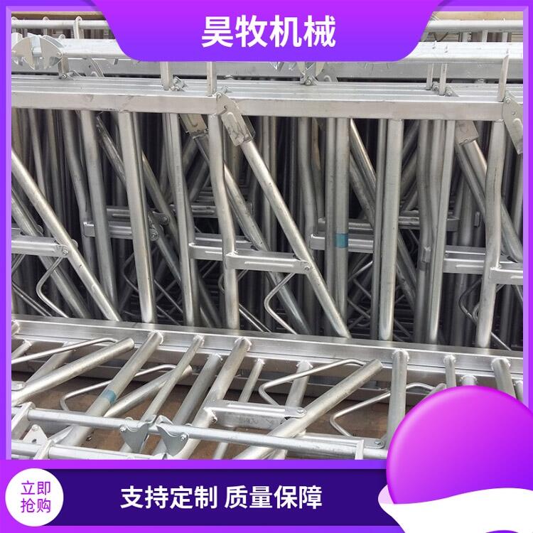 吉林昊牧奶牛用牛頸夾自鎖式牛頸枷