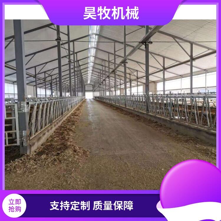 四川昊牧養(yǎng)牛設(shè)備牛頸枷自鎖式牛頸枷