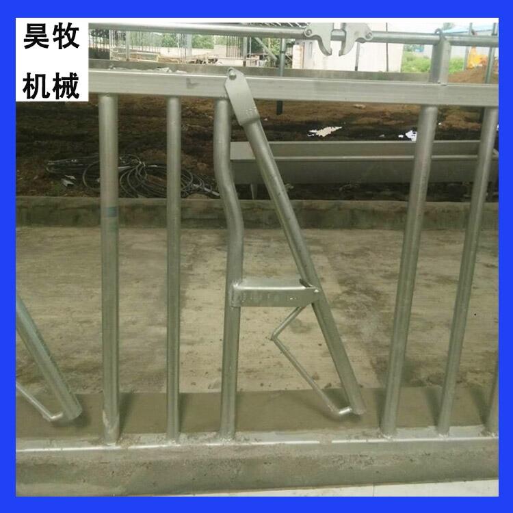 遼寧昊牧熱鍍鋅牛頸枷自鎖式牛頸枷