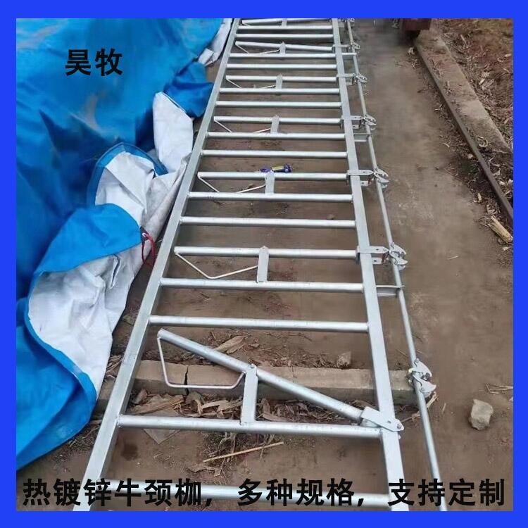遼寧昊牧熱鍍鋅牛頸枷結(jié)實耐腐蝕牛頸枷