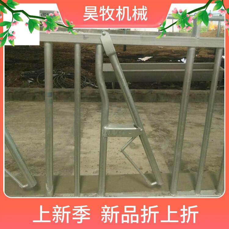 黑龍江昊牧奶牛用牛頸枷自鎖式牛頸枷