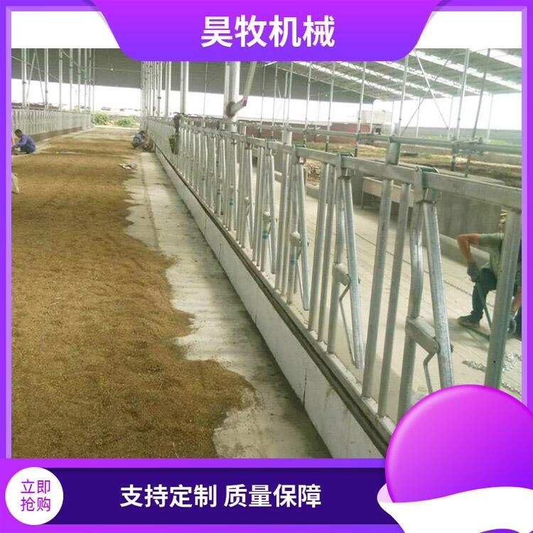 遼寧昊牧養(yǎng)牛設(shè)備牛頸枷自鎖式牛頸枷
