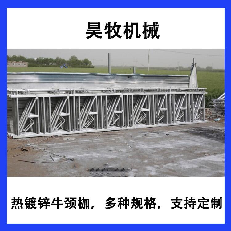 黑龍江昊牧肉牛用牛頸枷結(jié)實耐腐蝕牛頸枷