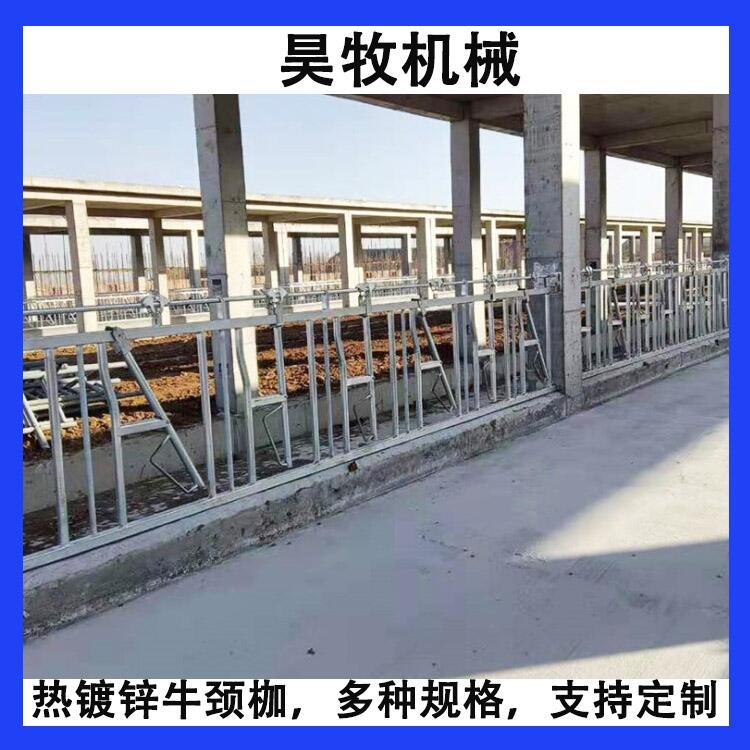 四川昊牧加厚牛頸夾自鎖式牛頸枷