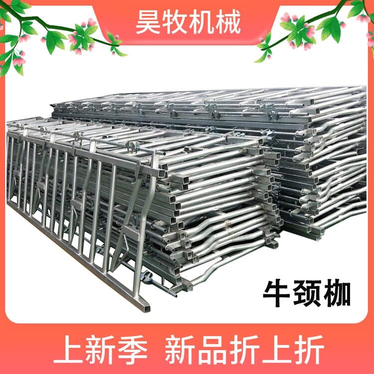 云南大理白族自治州昊牧養(yǎng)牛設備牛頸夾結實耐腐蝕牛頸枷