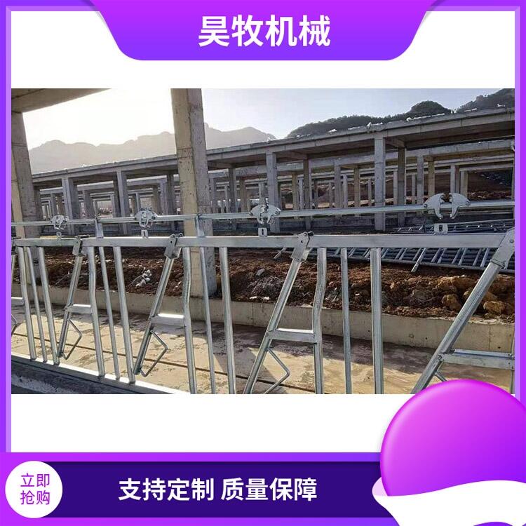 云南大理白族自治州昊牧肉牛用牛頸枷結(jié)實(shí)耐腐蝕牛頸枷