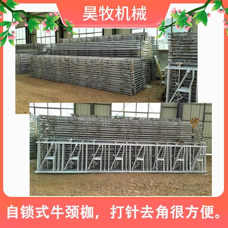 山西昊牧奶牛用牛頸枷結(jié)實耐腐蝕牛頸枷