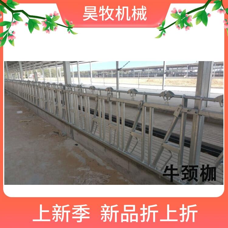 內(nèi)蒙古昊牧肉牛用牛頸夾結(jié)實耐腐蝕牛頸枷