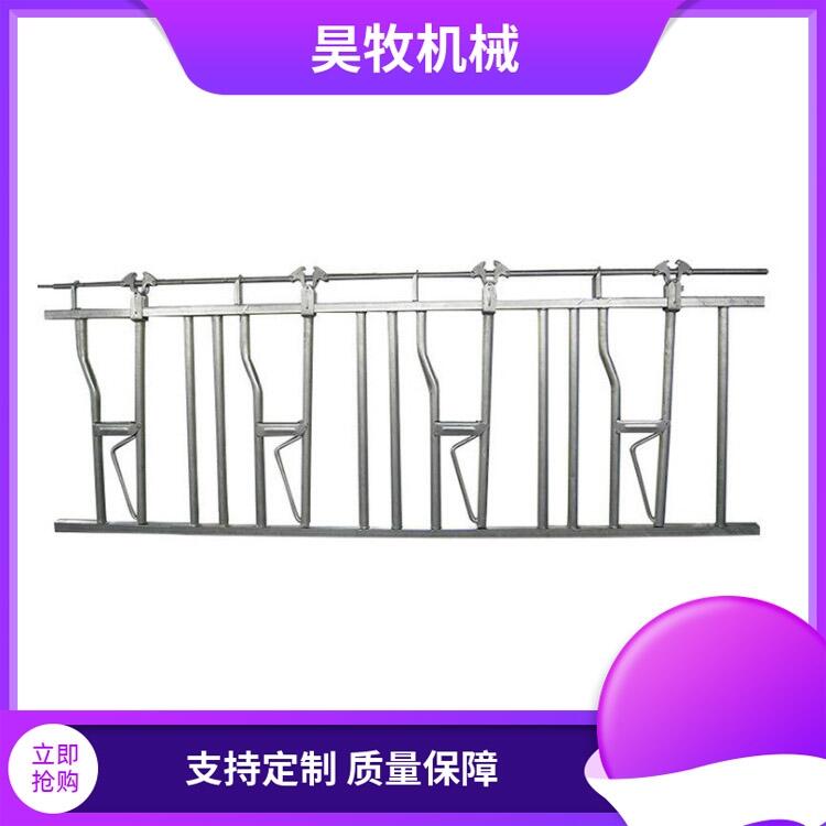 吉林昊牧肉牛用牛頸枷自鎖式牛頸枷