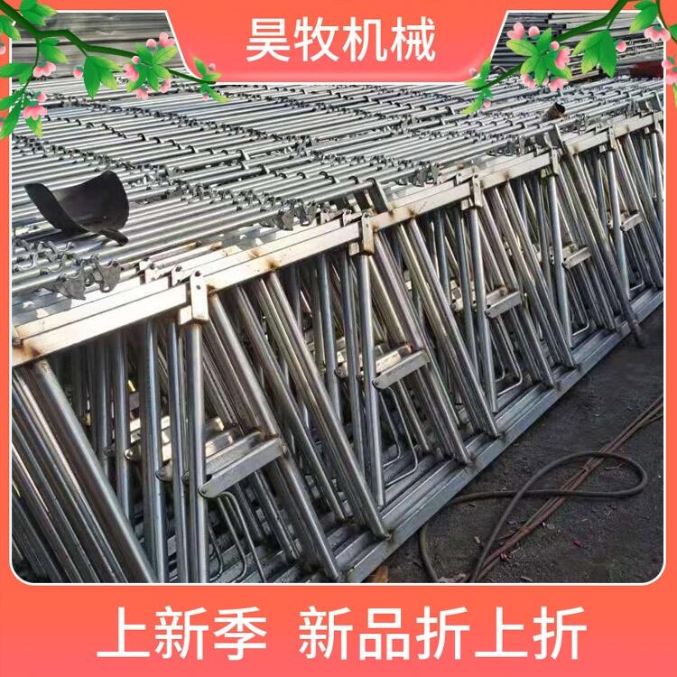 吉林昊牧養(yǎng)牛設備牛頸夾結實耐腐蝕牛頸枷
