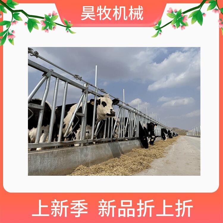 遼寧昊牧養(yǎng)牛設(shè)備牛頸夾結(jié)實耐腐蝕牛頸枷