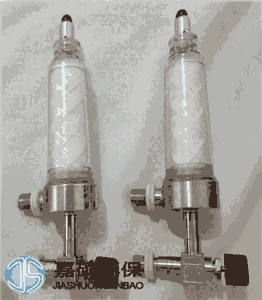 水樣過(guò)濾器廠家供應(yīng)TZ216-3濾芯尺寸